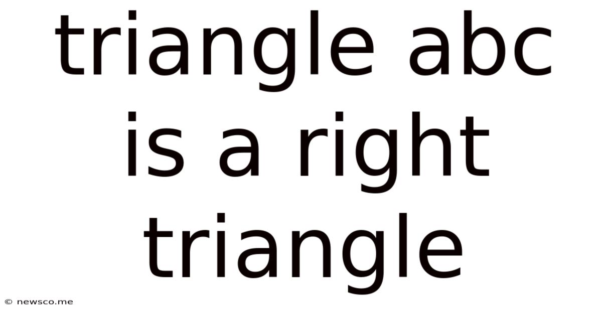 Triangle Abc Is A Right Triangle
