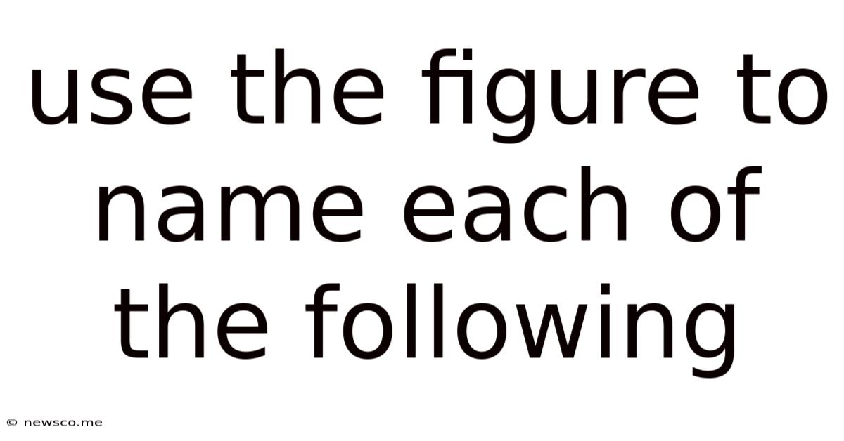 Use The Figure To Name Each Of The Following