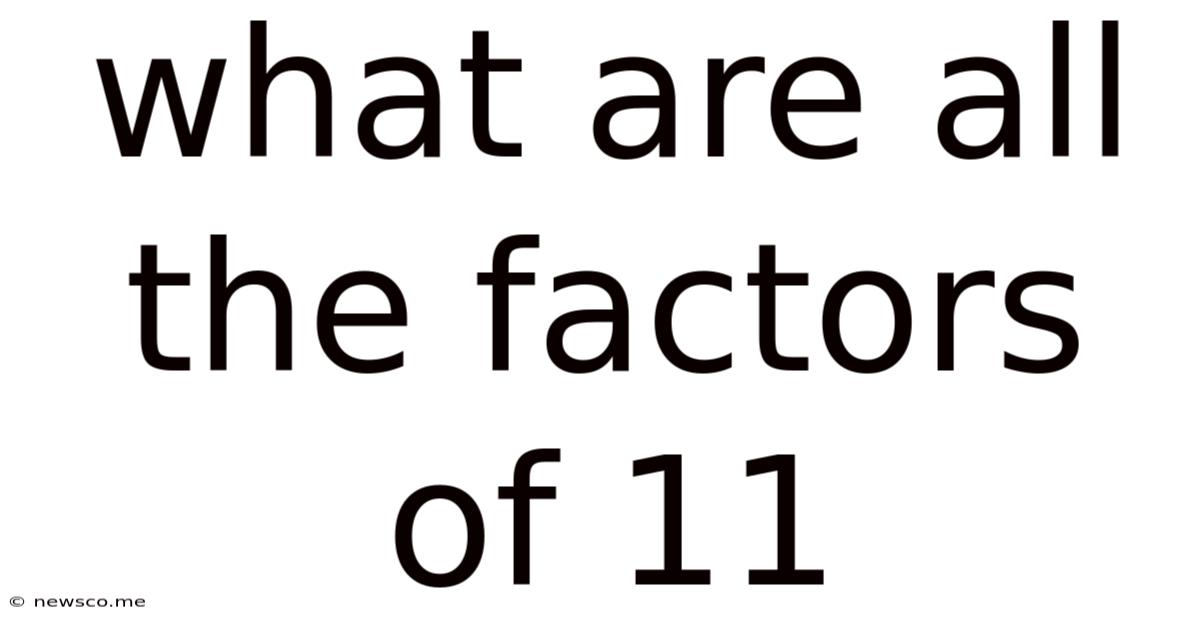 What Are All The Factors Of 11