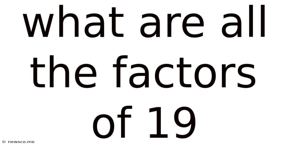 What Are All The Factors Of 19