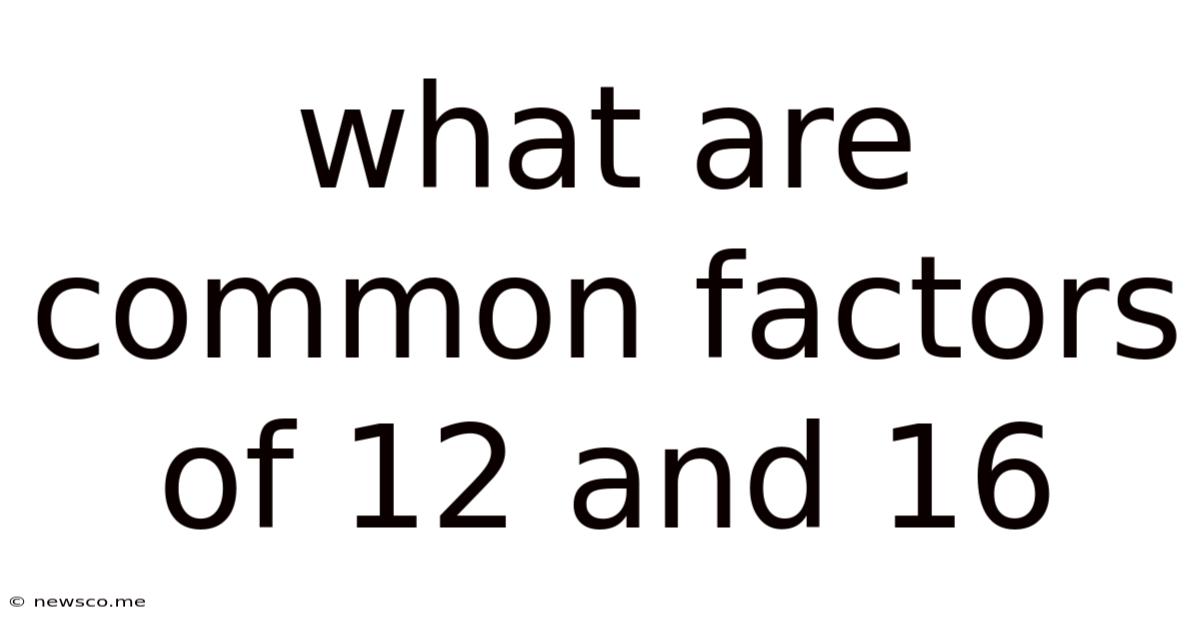 What Are Common Factors Of 12 And 16