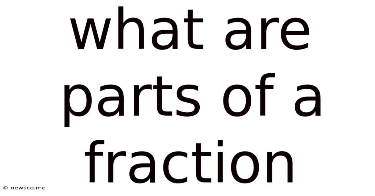 What Are Parts Of A Fraction