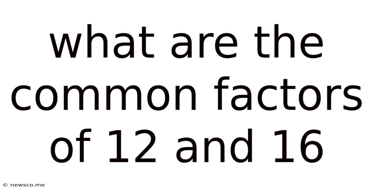 What Are The Common Factors Of 12 And 16