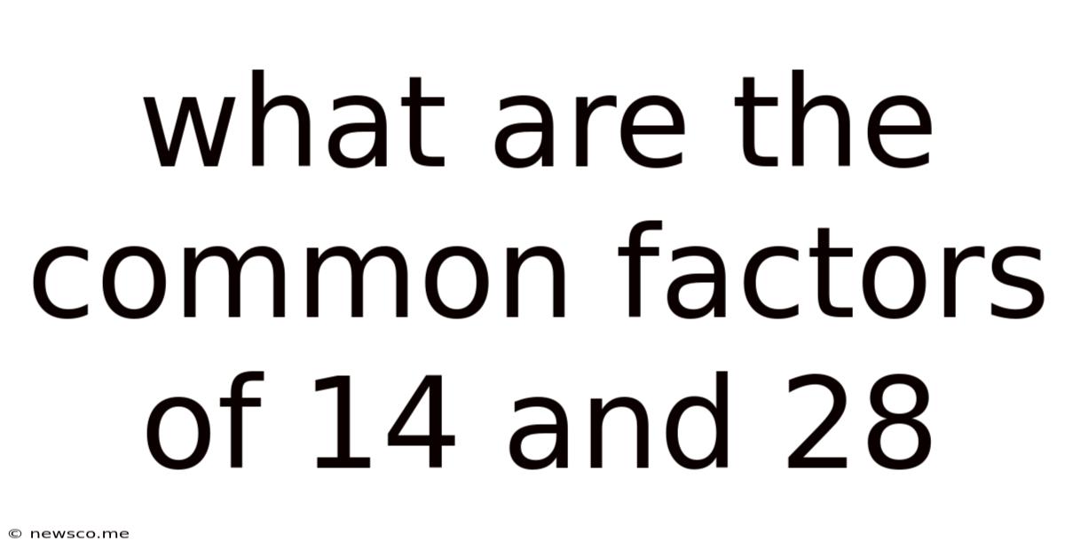 What Are The Common Factors Of 14 And 28