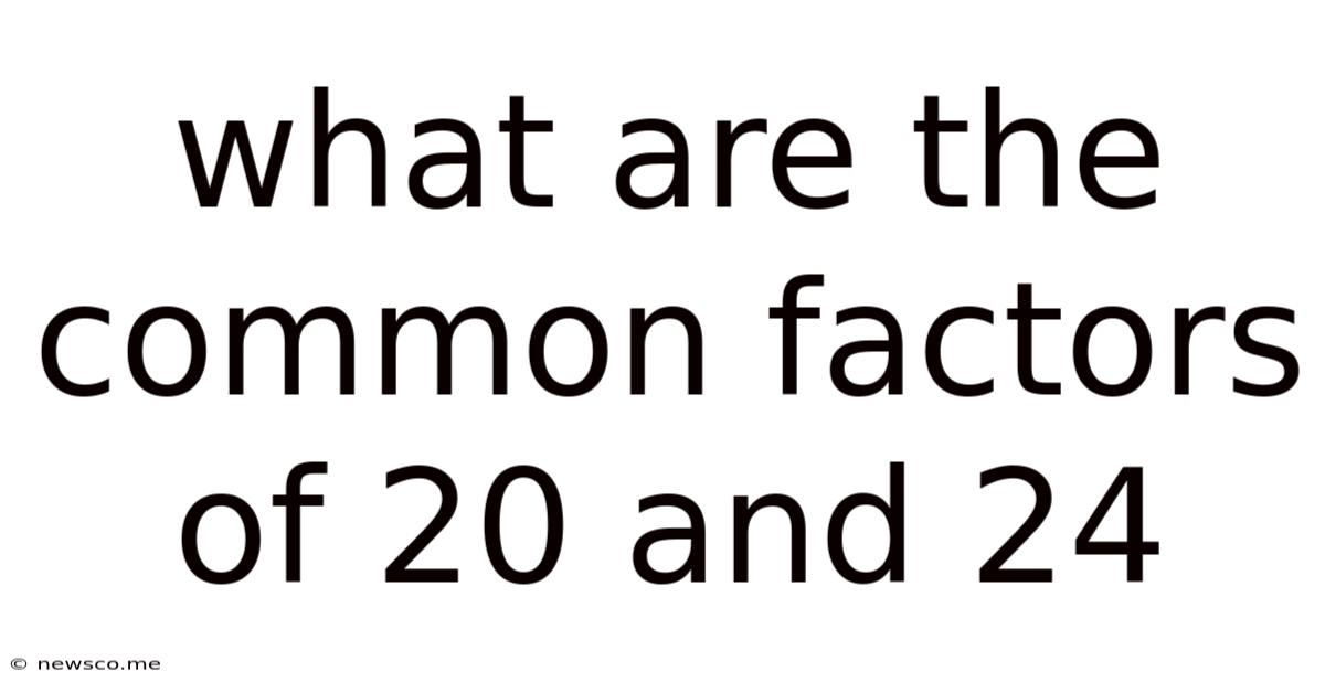 What Are The Common Factors Of 20 And 24