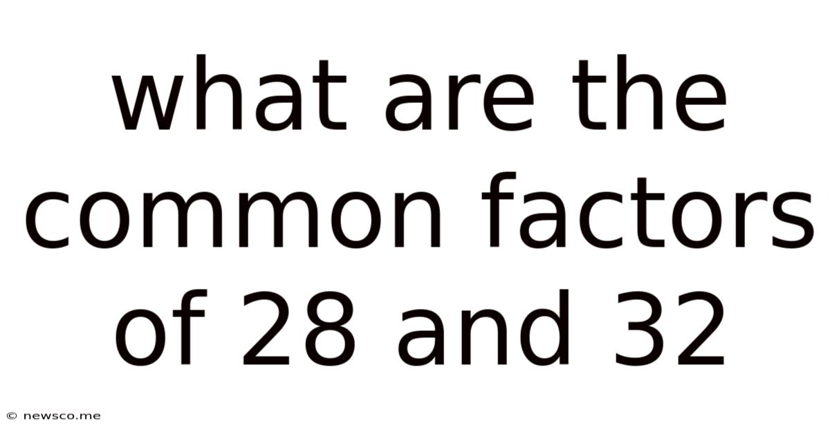 What Are The Common Factors Of 28 And 32