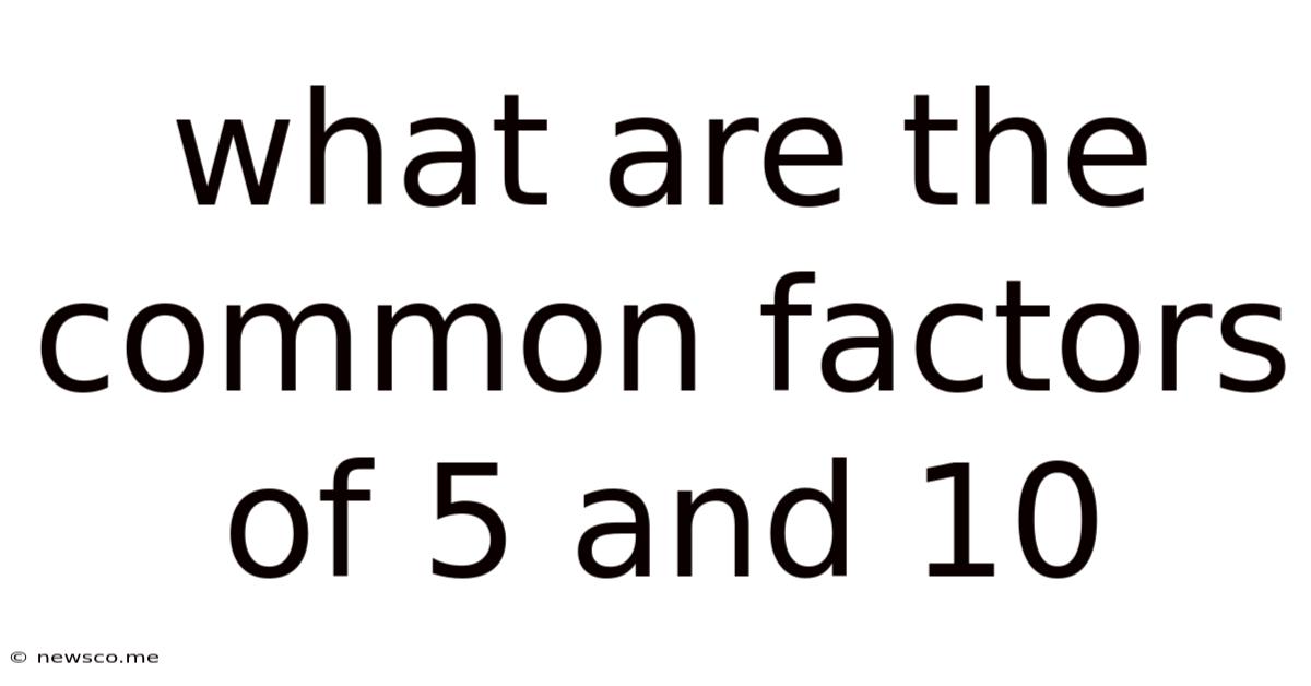 What Are The Common Factors Of 5 And 10