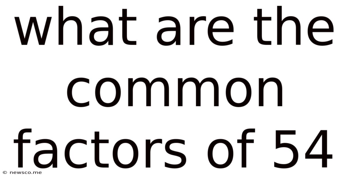 What Are The Common Factors Of 54