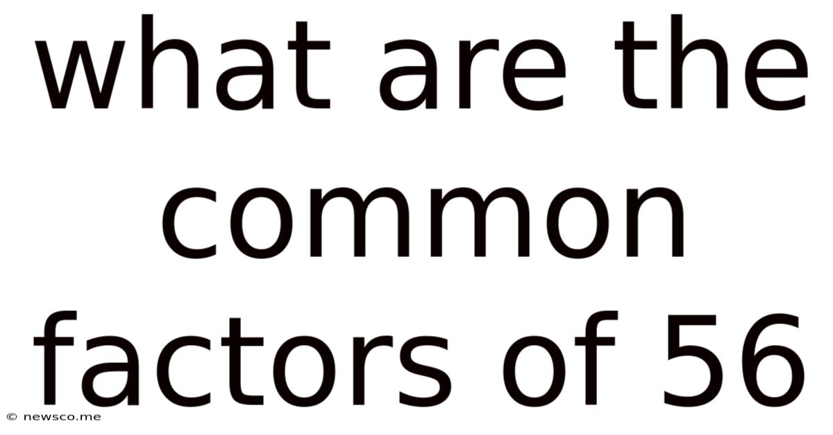 What Are The Common Factors Of 56