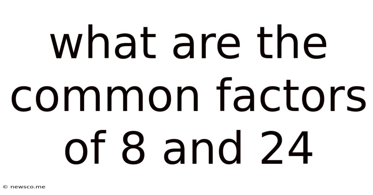 What Are The Common Factors Of 8 And 24