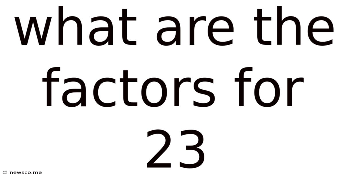 What Are The Factors For 23
