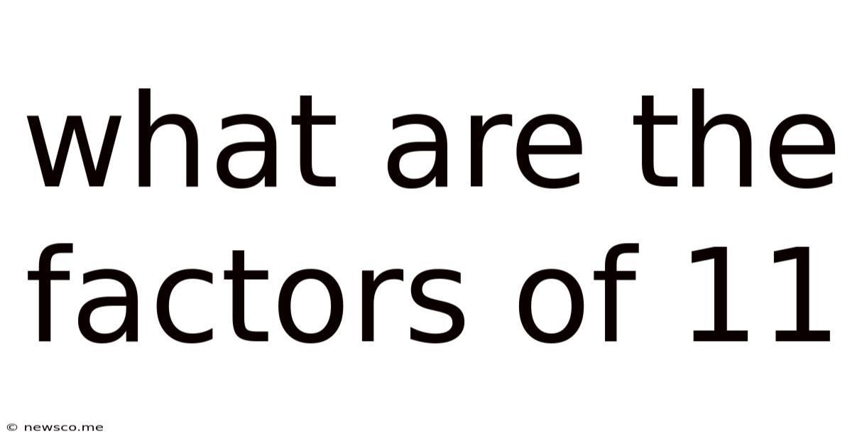 What Are The Factors Of 11