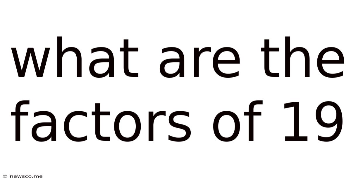What Are The Factors Of 19