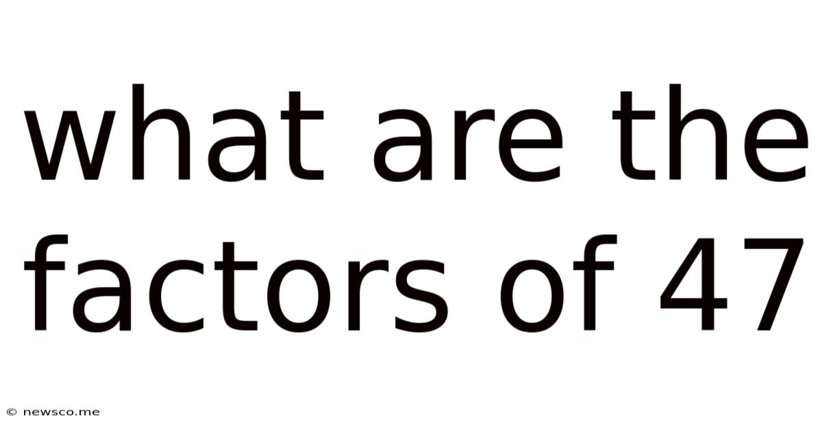 What Are The Factors Of 47