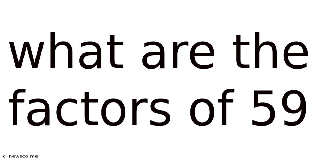 What Are The Factors Of 59