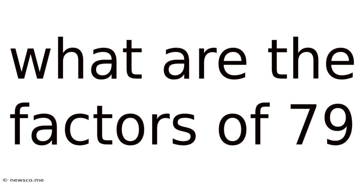 What Are The Factors Of 79