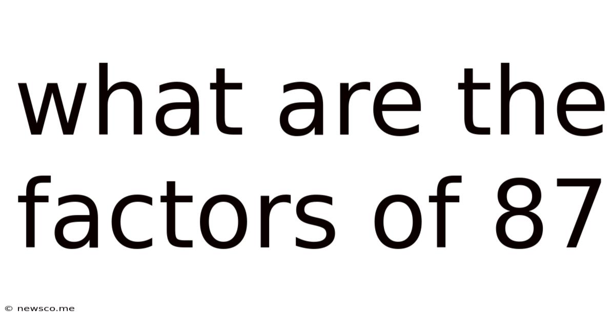What Are The Factors Of 87
