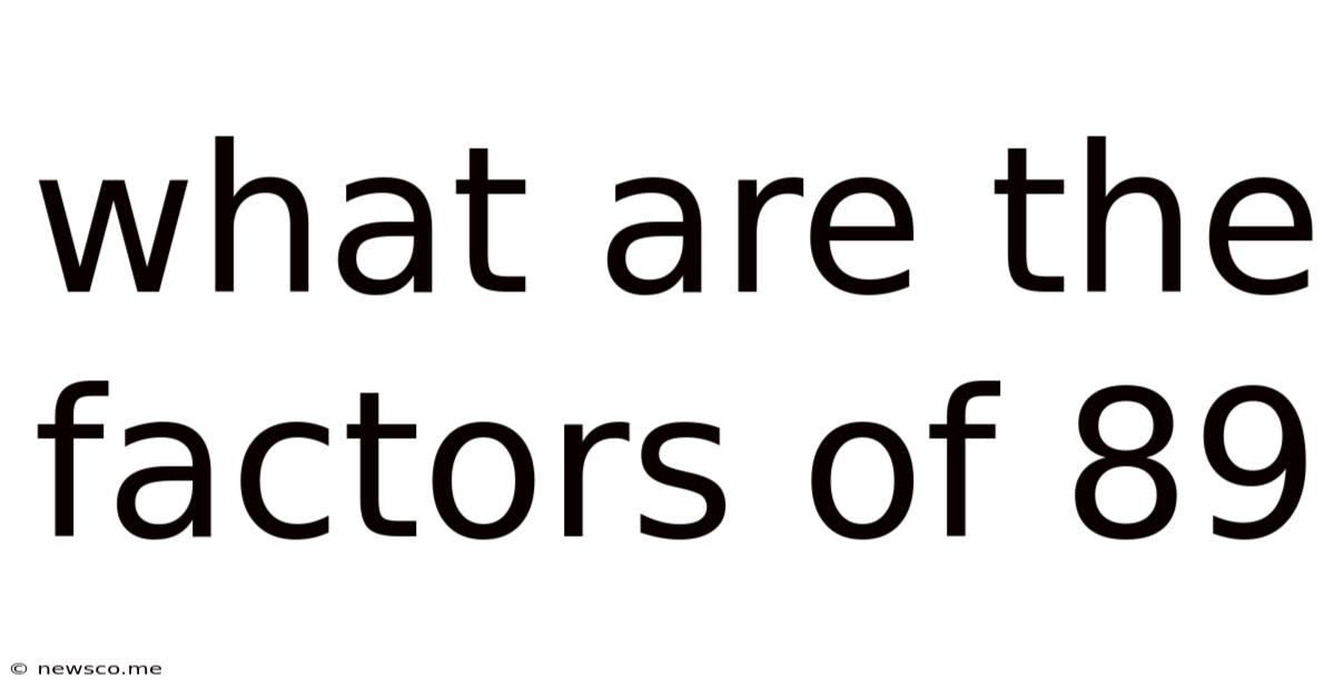What Are The Factors Of 89