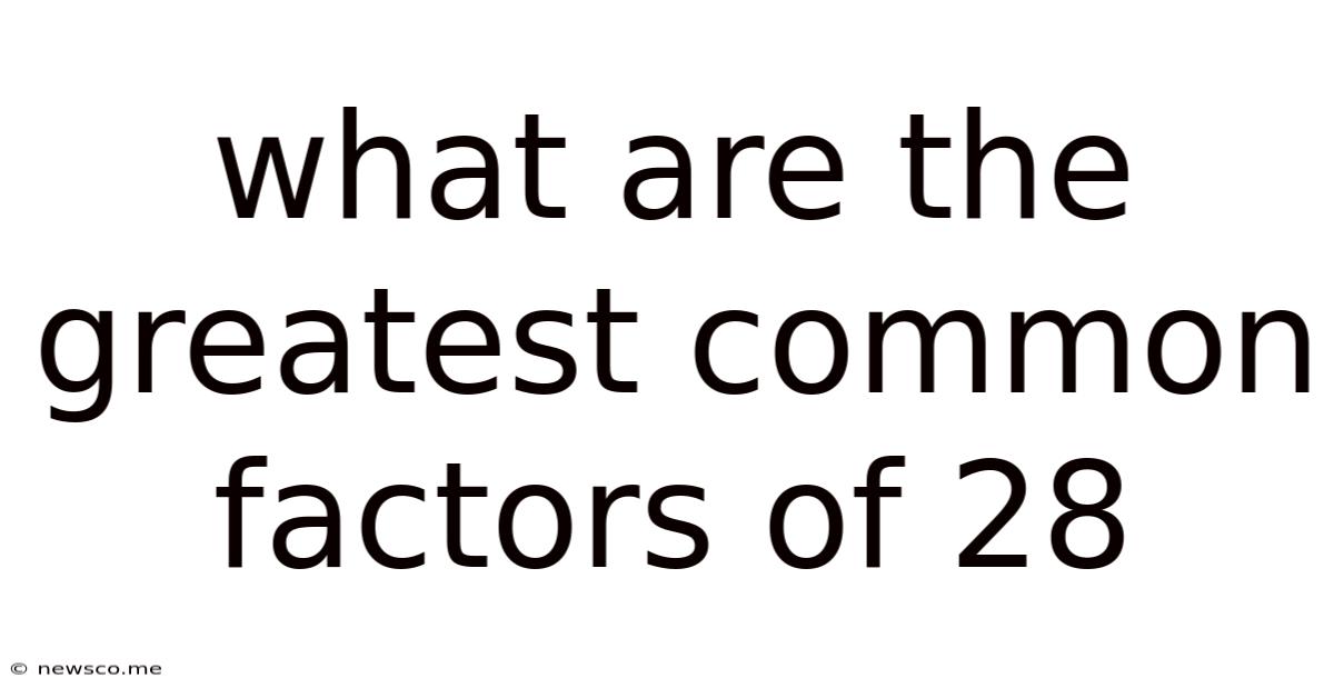 What Are The Greatest Common Factors Of 28