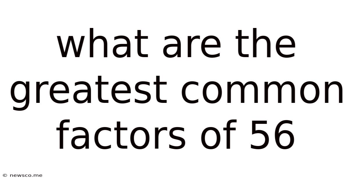 What Are The Greatest Common Factors Of 56