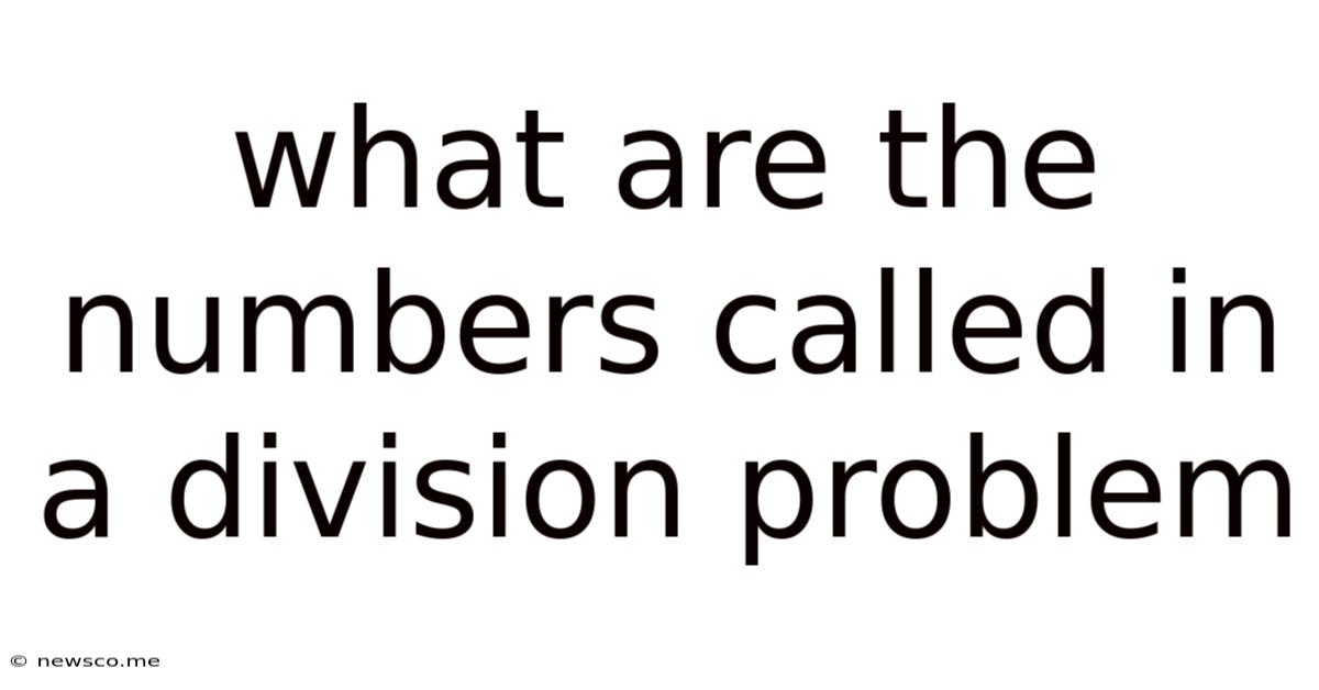 What Are The Numbers Called In A Division Problem