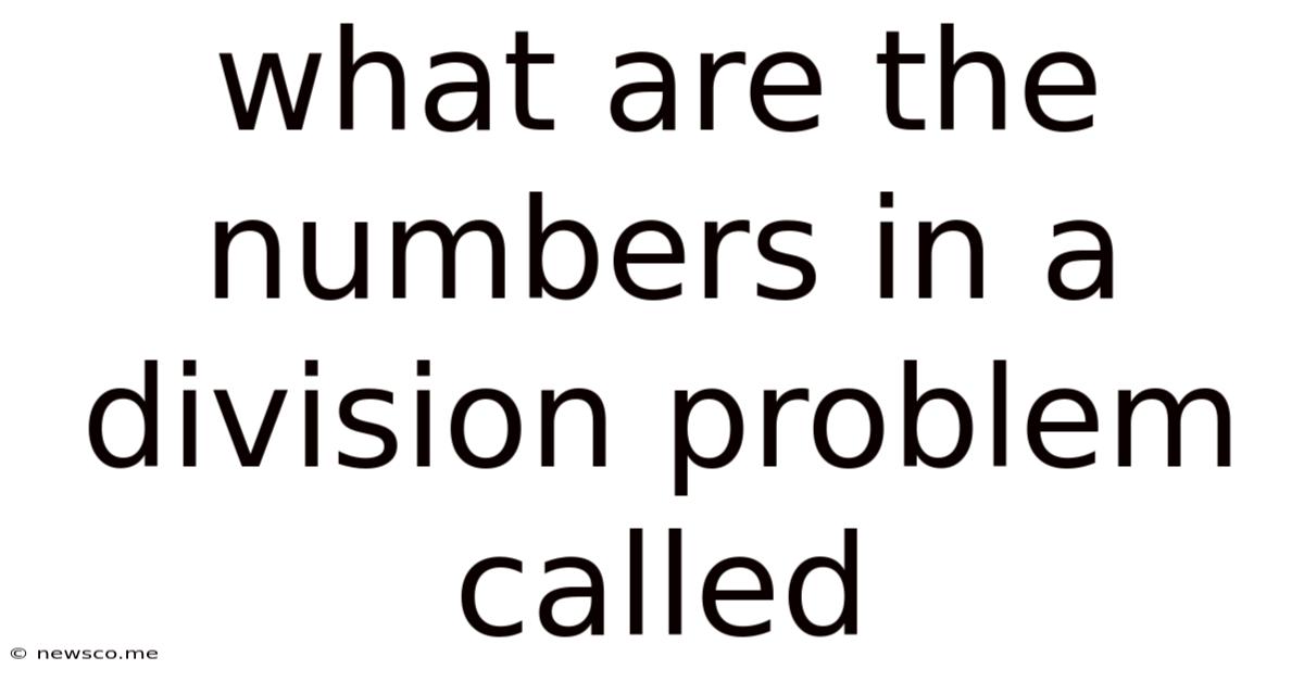 What Are The Numbers In A Division Problem Called