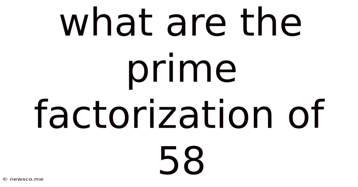 What Are The Prime Factorization Of 58