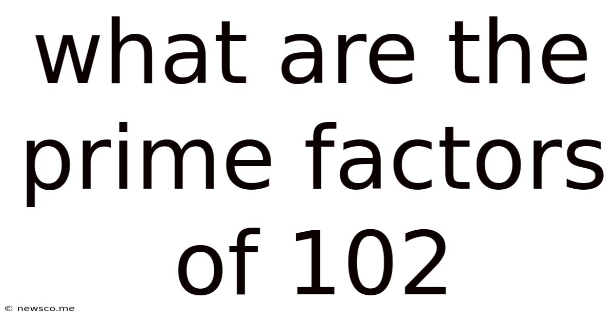 What Are The Prime Factors Of 102
