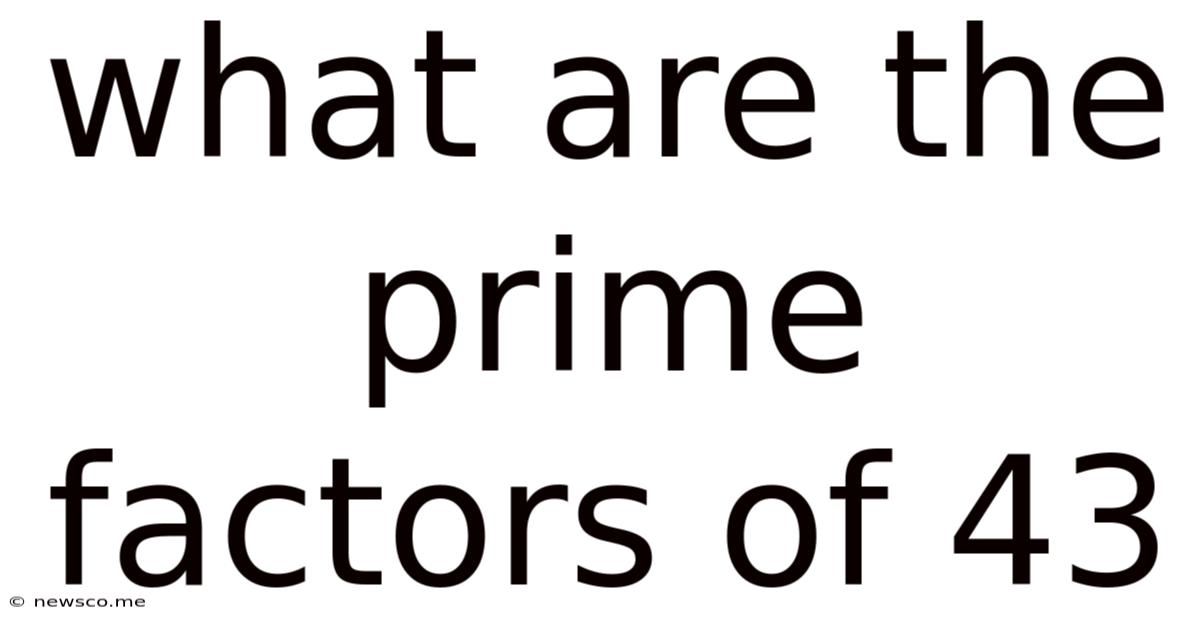 What Are The Prime Factors Of 43
