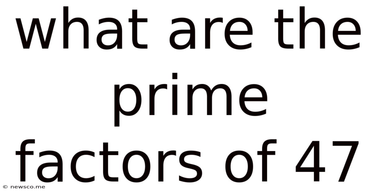 What Are The Prime Factors Of 47