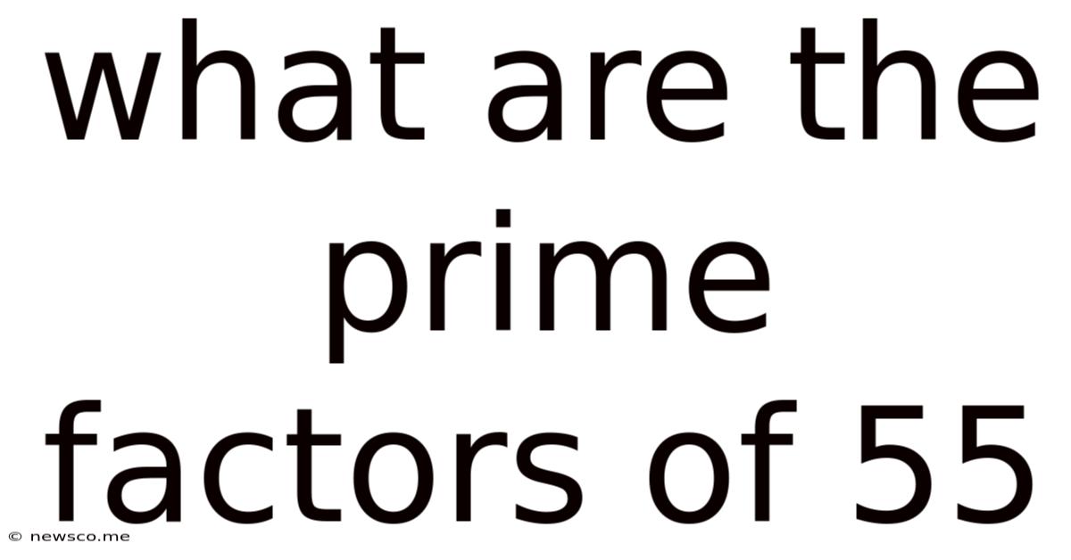 What Are The Prime Factors Of 55