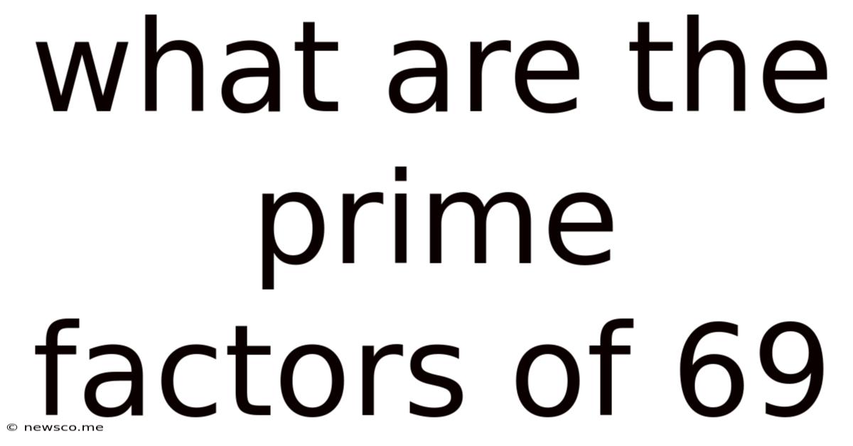 What Are The Prime Factors Of 69