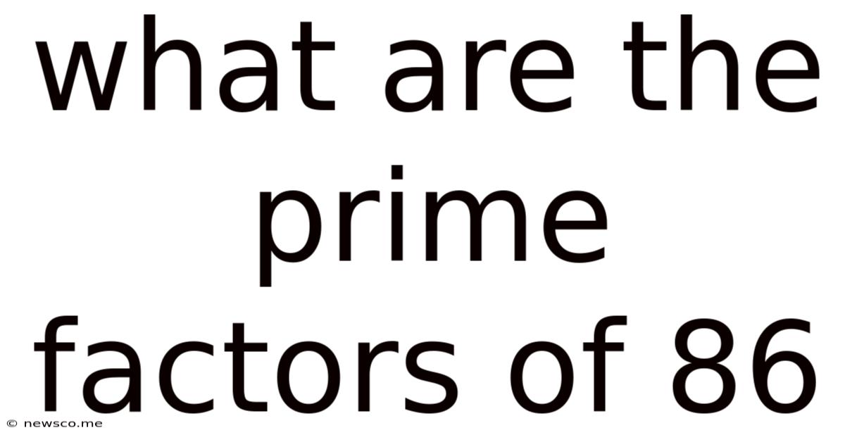 What Are The Prime Factors Of 86
