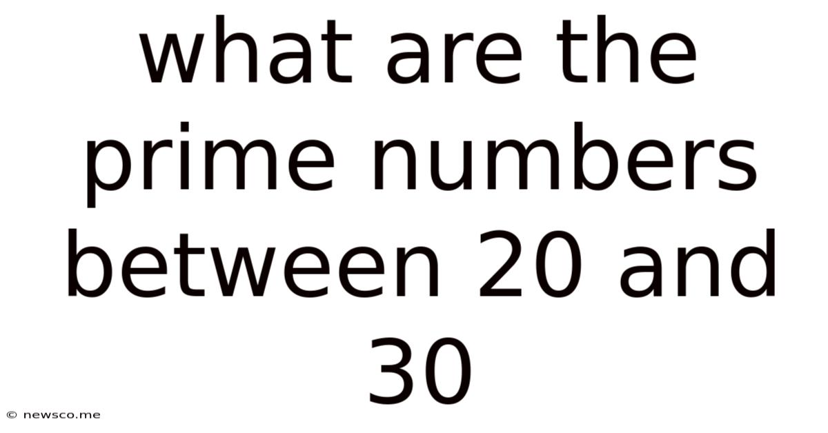 What Are The Prime Numbers Between 20 And 30