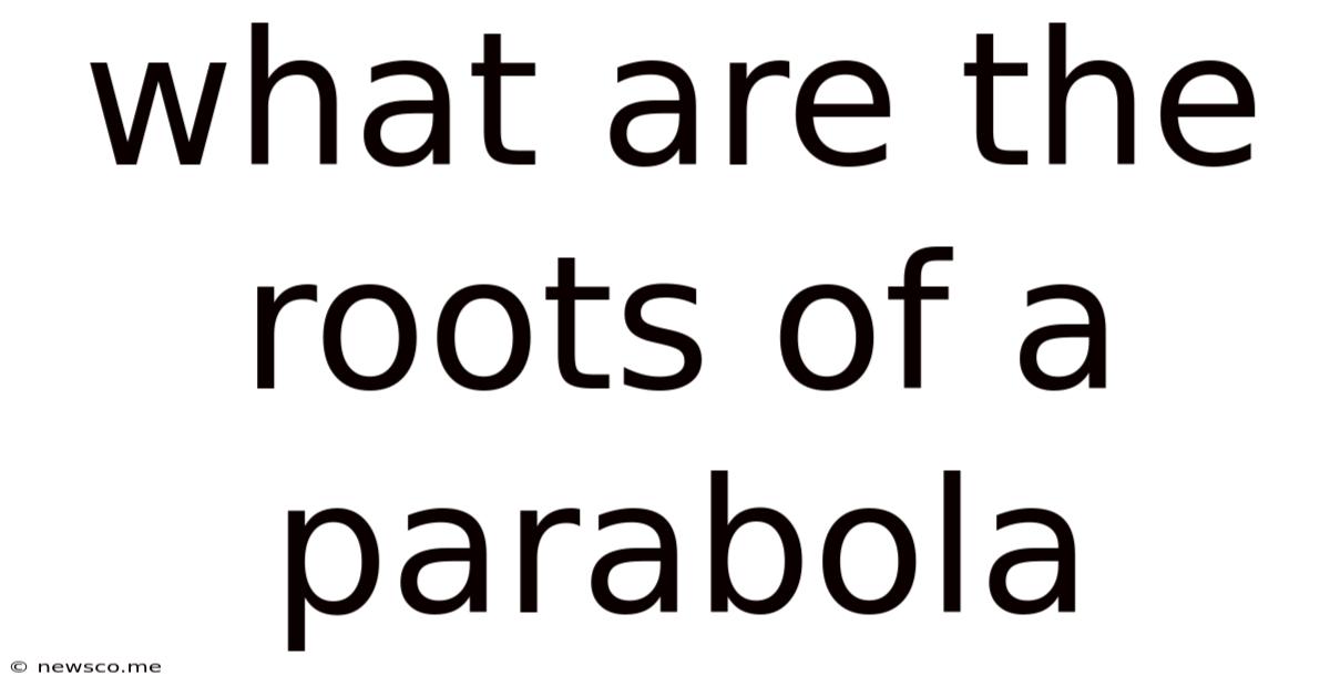 What Are The Roots Of A Parabola