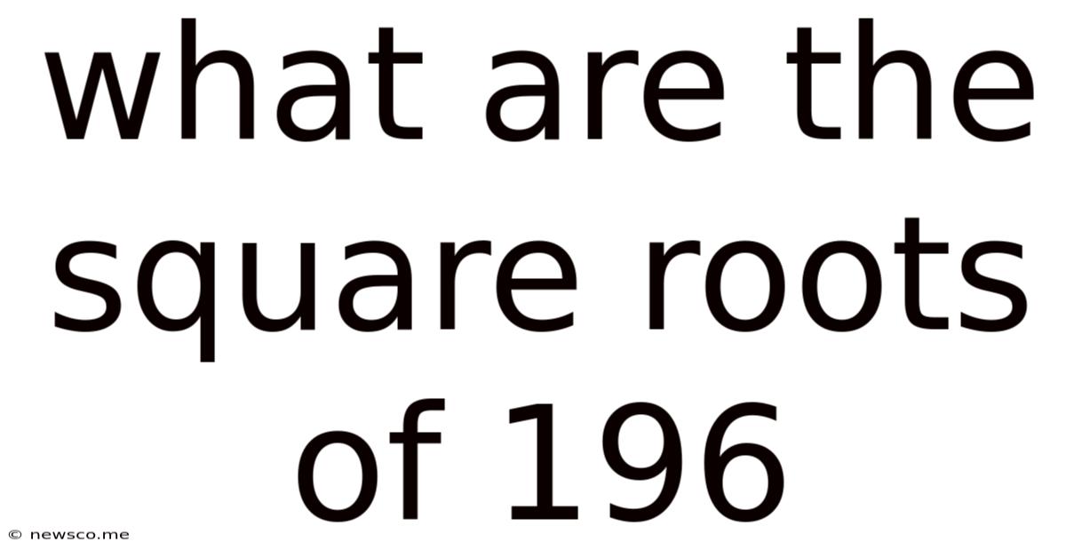 What Are The Square Roots Of 196