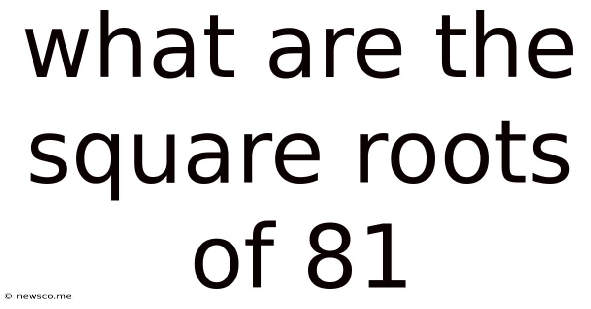 What Are The Square Roots Of 81