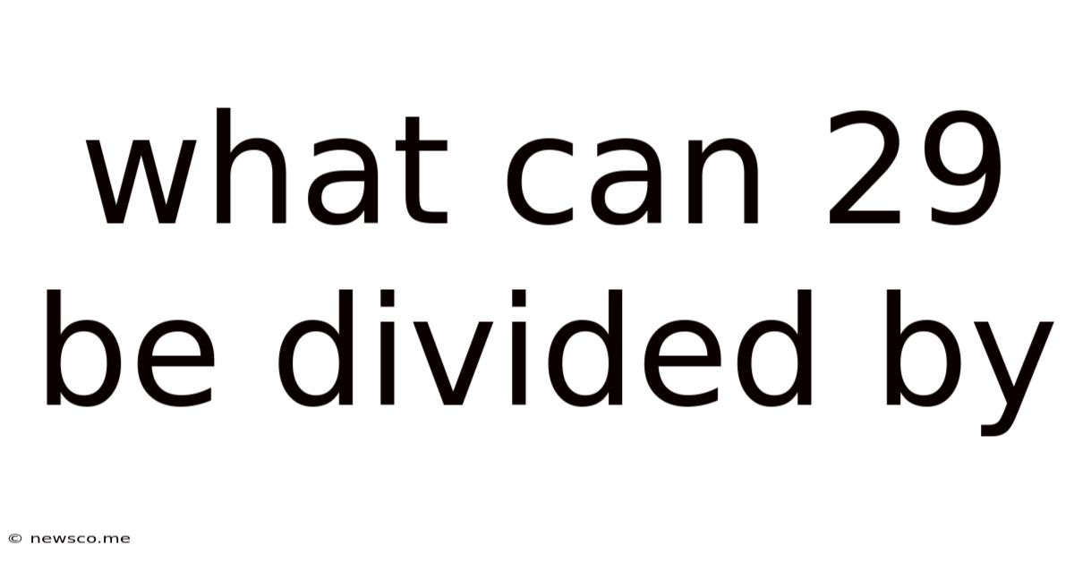 What Can 29 Be Divided By