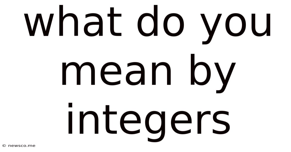 What Do You Mean By Integers