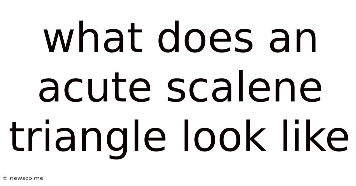 What Does An Acute Scalene Triangle Look Like