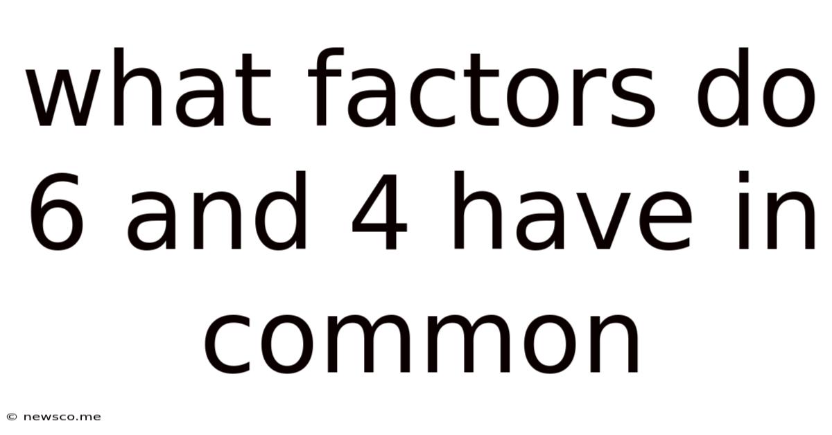 What Factors Do 6 And 4 Have In Common