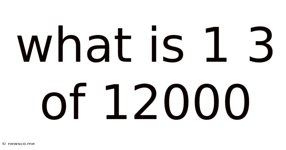 What Is 1 3 Of 12000