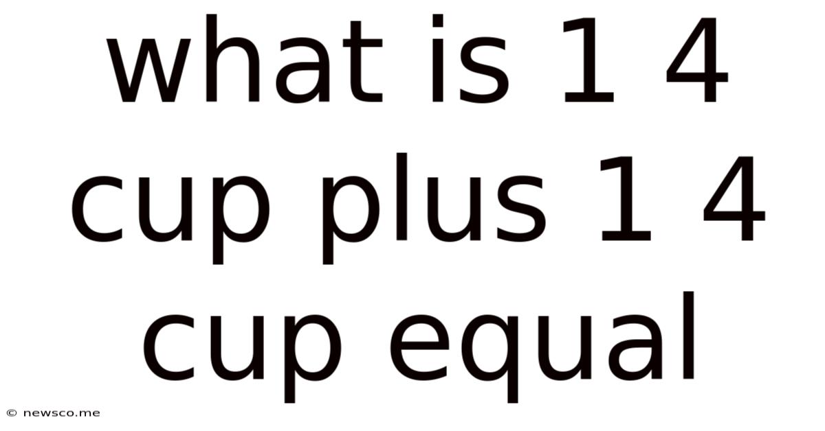What Is 1 4 Cup Plus 1 4 Cup Equal