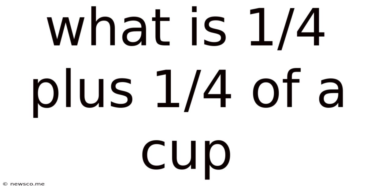 What Is 1/4 Plus 1/4 Of A Cup