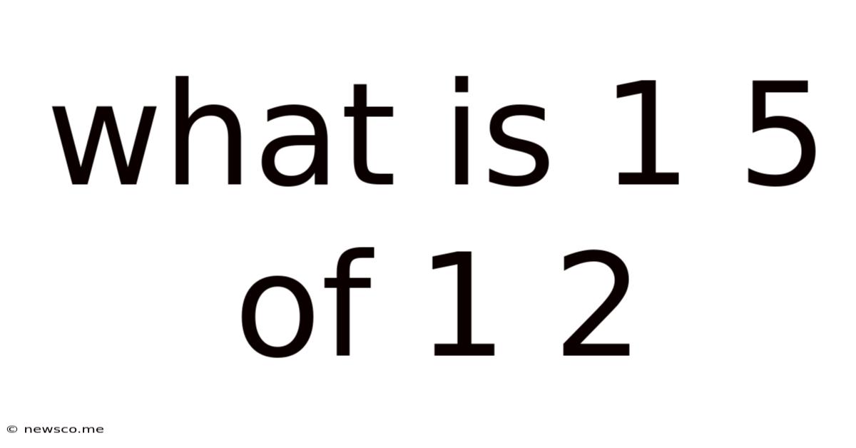 What Is 1 5 Of 1 2
