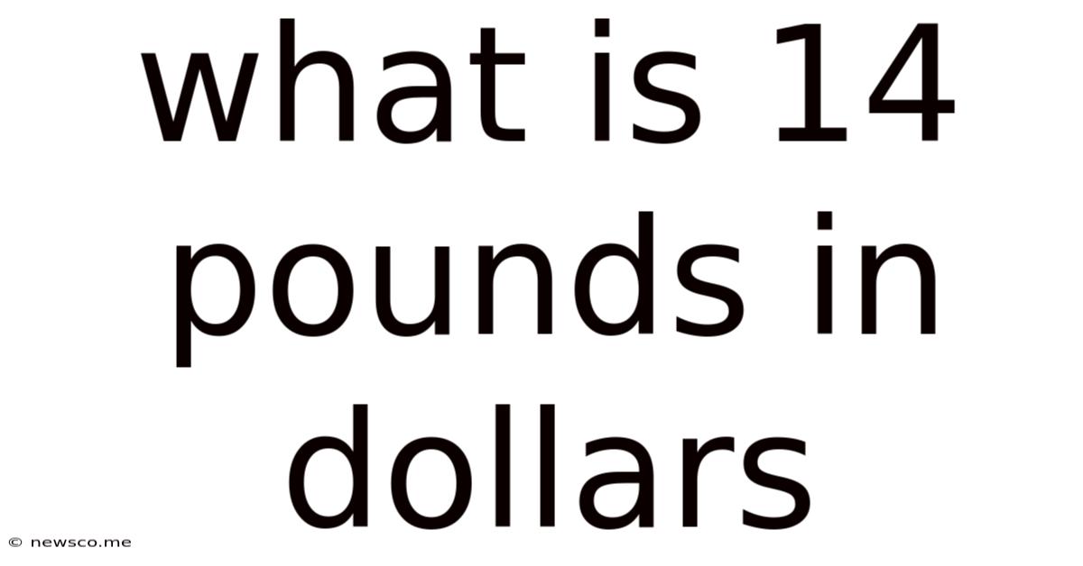 What Is 14 Pounds In Dollars