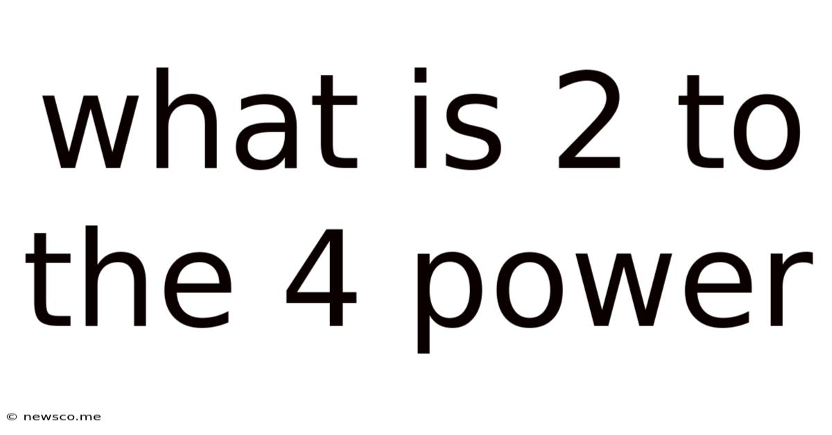 What Is 2 To The 4 Power