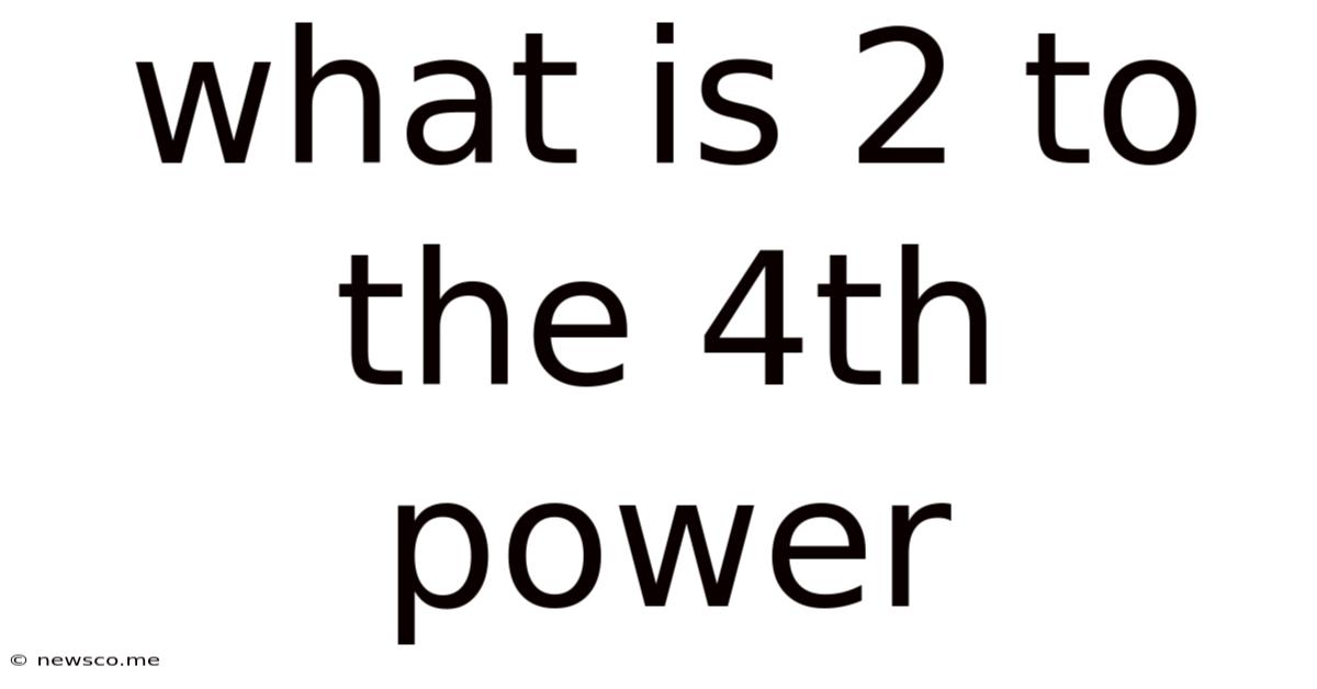 What Is 2 To The 4th Power
