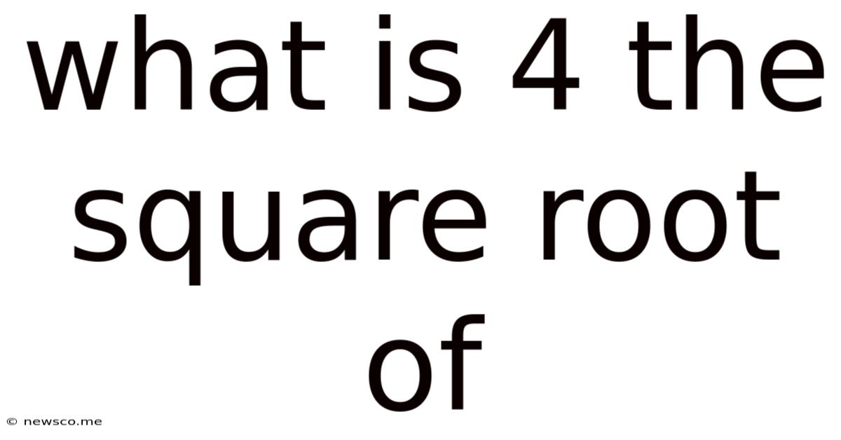 What Is 4 The Square Root Of