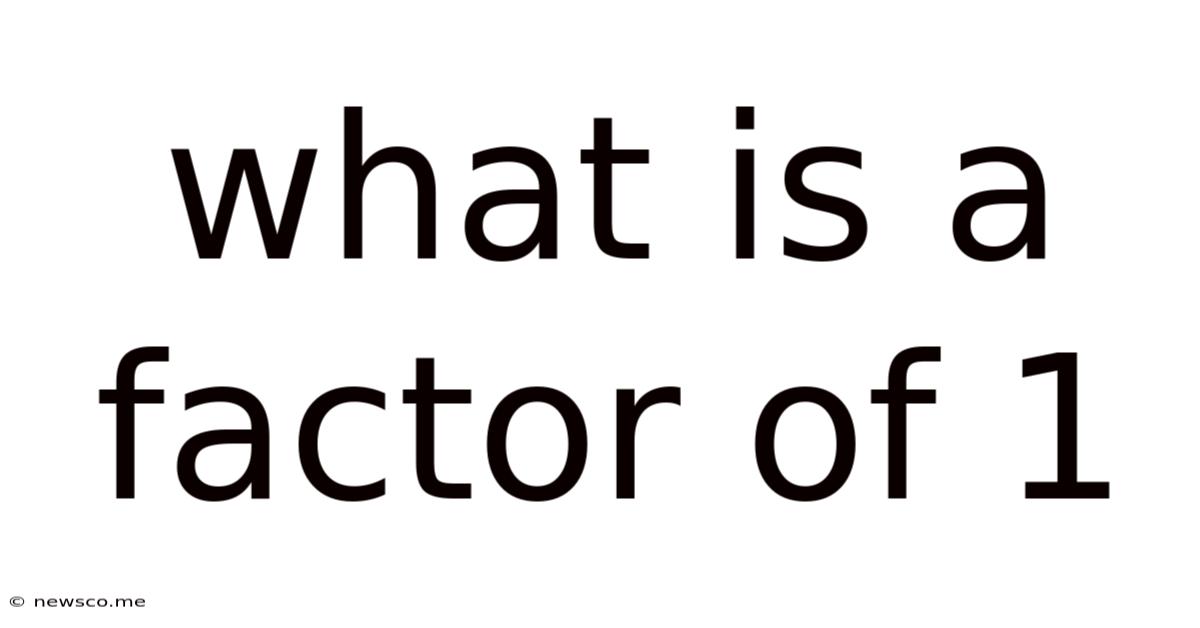 What Is A Factor Of 1